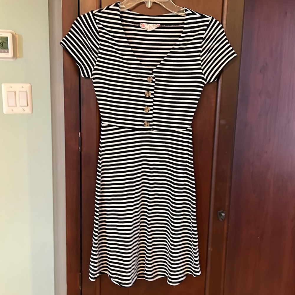 Pink Rose Black and White Striped Dress